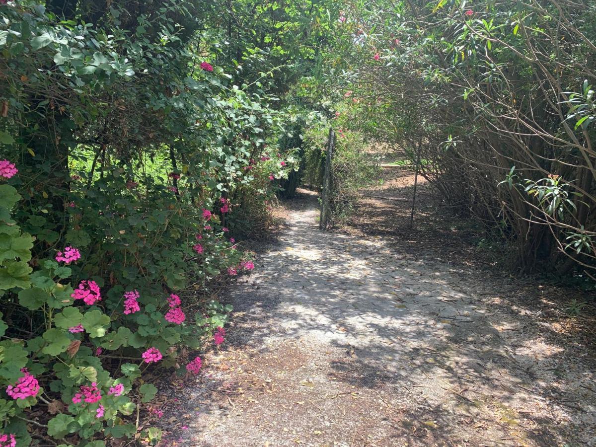 Villa Serena Nisaki  Dış mekan fotoğraf